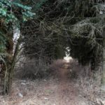 страшная история Неизвестный голос Неизвестный голос