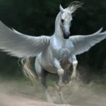 страшная история Пегас Пегас