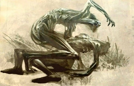 Дзикининки фото