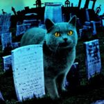 Самые страшные книги ужасов в мире