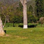 страшная история Скельские менгиры Скельские менгиры