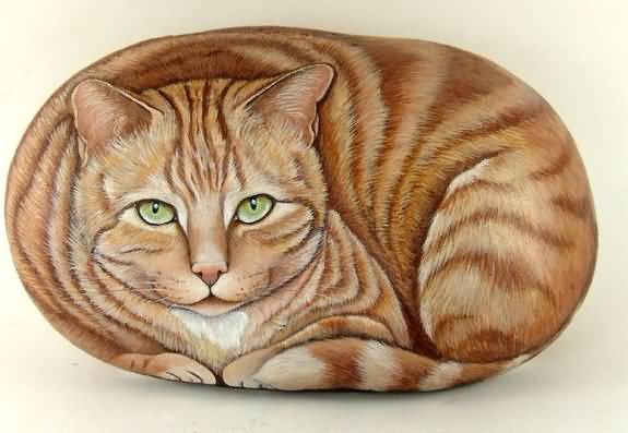 кот