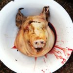 Мясная паста
