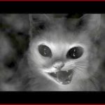 страшная история Призрачный кот Призрачный кот