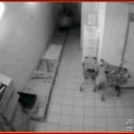 Призрак на складе